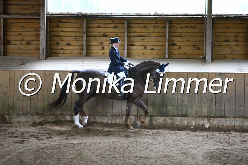 006M5372_Dressurpferde L.JPG